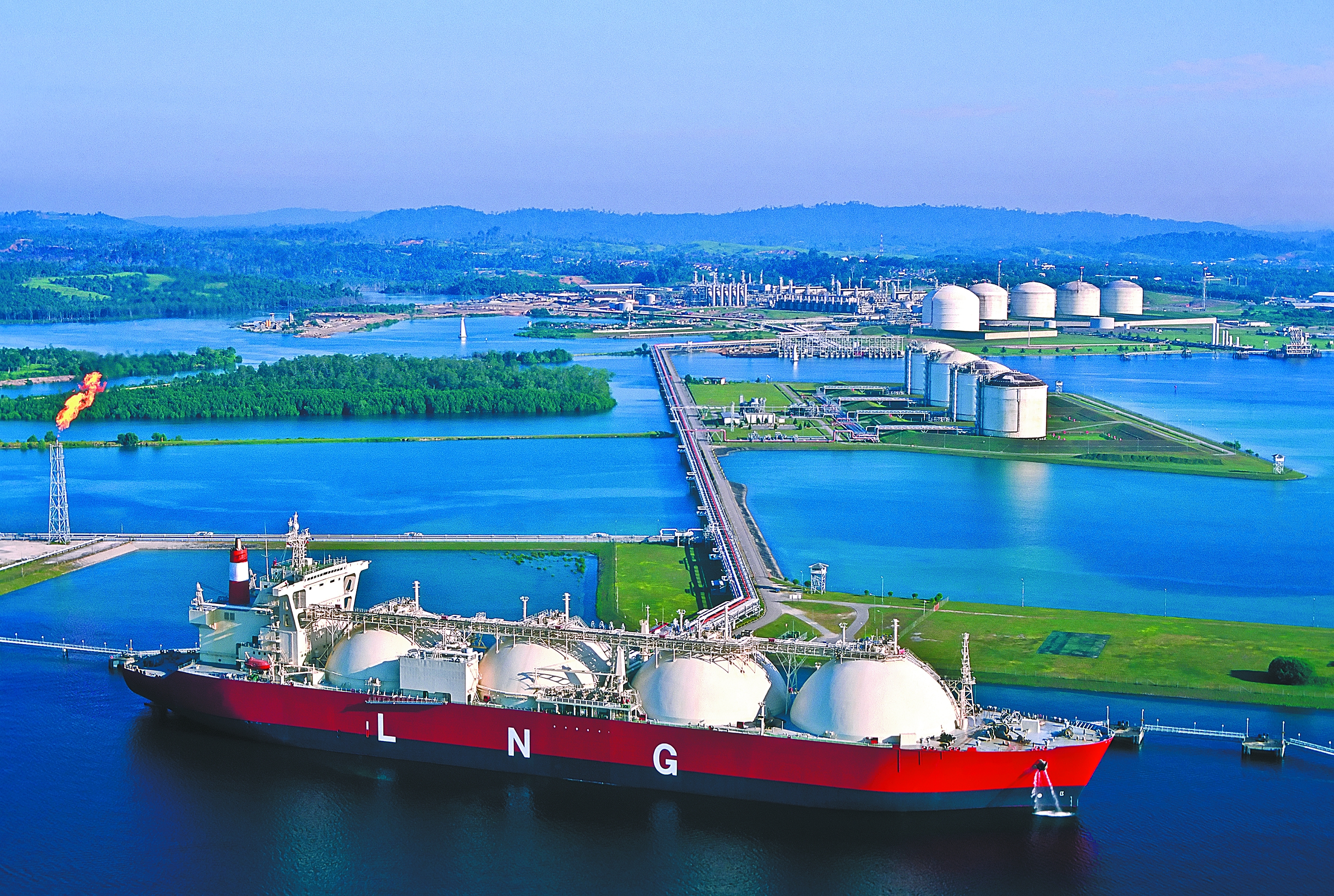 1705027391486905.jpg 401.jpg